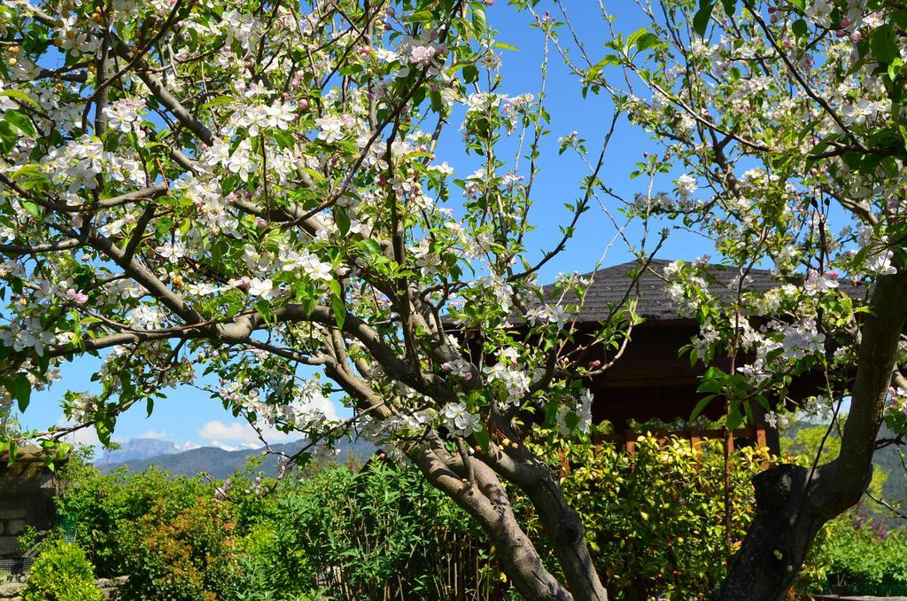 Casa Rural La Era Sieste エクステリア 写真
